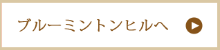 【7つの特典付】格安挙式＆会食プランサルビア札幌ウイリアムモリス教会詳細はこちら